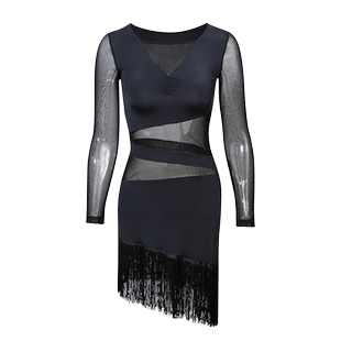 拉丁舞服装女成人网纱拼接流苏连衣裙国标摩登舞高级比赛练功服夏