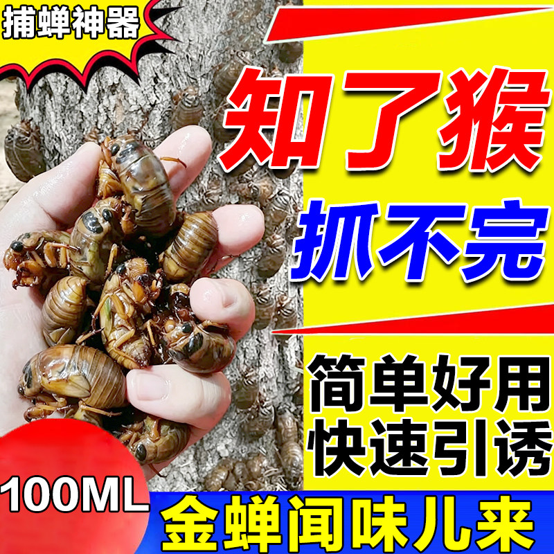 抓知了猴神器户外捕捉金蝉知了龟爬查叉唐僧肉夜间树林捕蝉专用剂