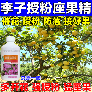 李子树授粉座果精专用保花保果防落果防裂李子开花药专用肥料