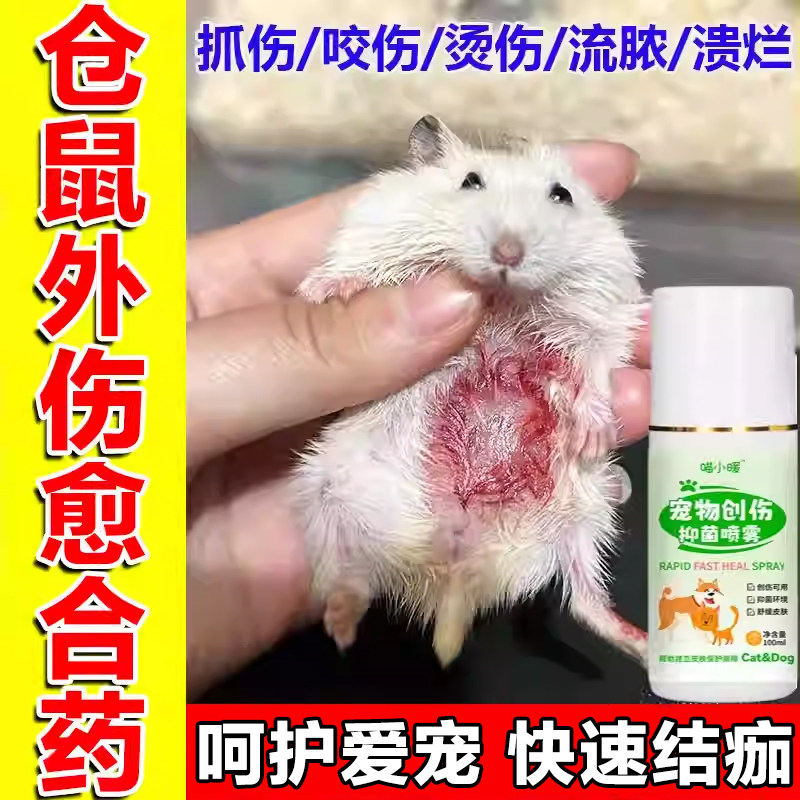 仓鼠外伤口愈合药荷兰猪金丝熊花枝鼠咬伤打架擦伤出血流脓愈合剂
