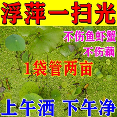 生物青苔净浮萍净】虾塘果树鱼塘鱼池青苔清除剂鱼药杀泥皮杂水草