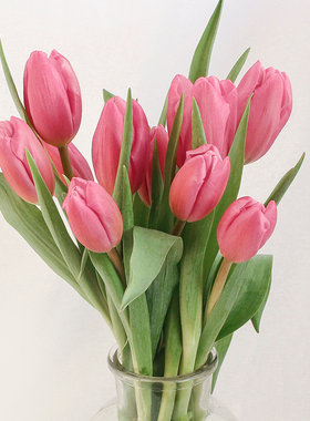 鲜切郁金香鲜花云南基地直发家用黄色花束真花鲜切花插花顺丰包邮