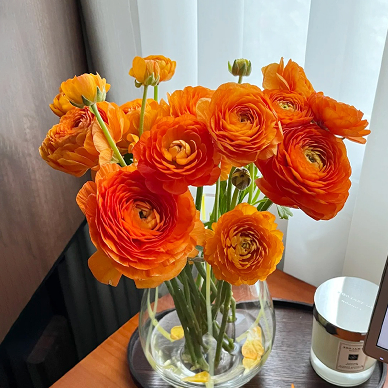 A级洋牡丹鲜花顺丰包邮