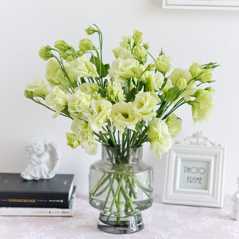 绿色洋桔梗鲜切花家庭水养瓶插花