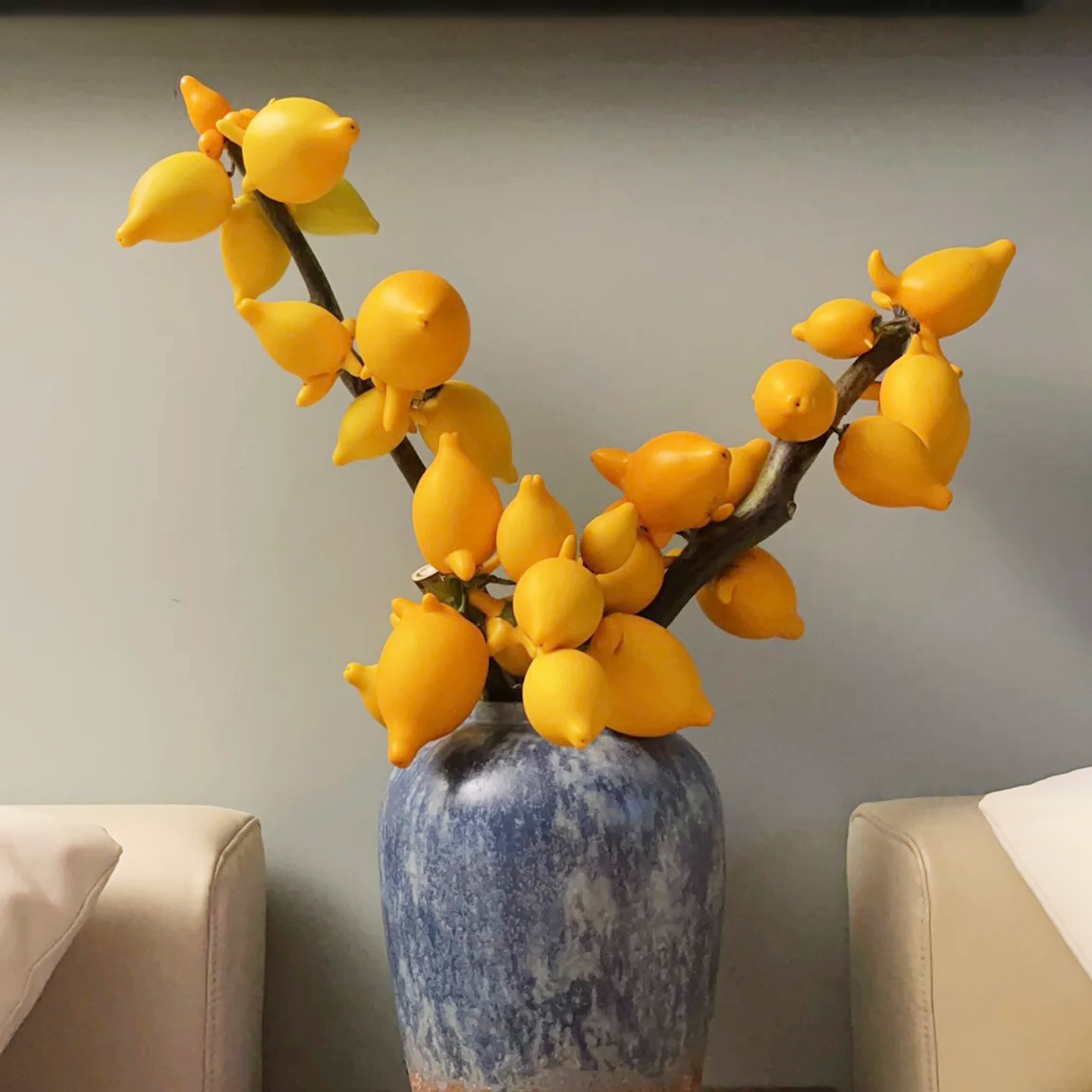 黄金果乳茄鲜花插花客厅旺宅绿植