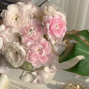 荷花酥洋牡丹鲜花云南基地直发日系洋牡丹鲜切花家用插花顺丰包邮