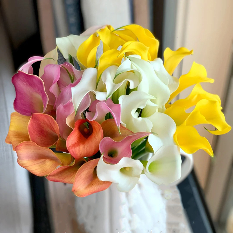 A级彩色马蹄莲鲜花顺丰包邮