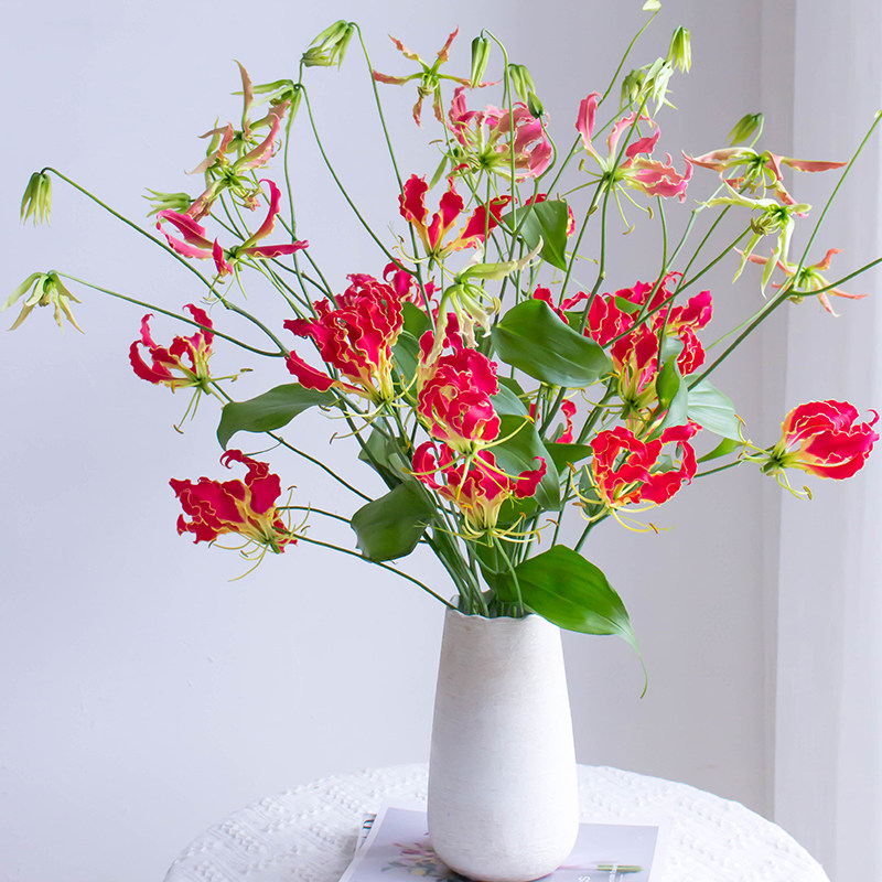 嘉兰百合鲜花室内观赏插花图片