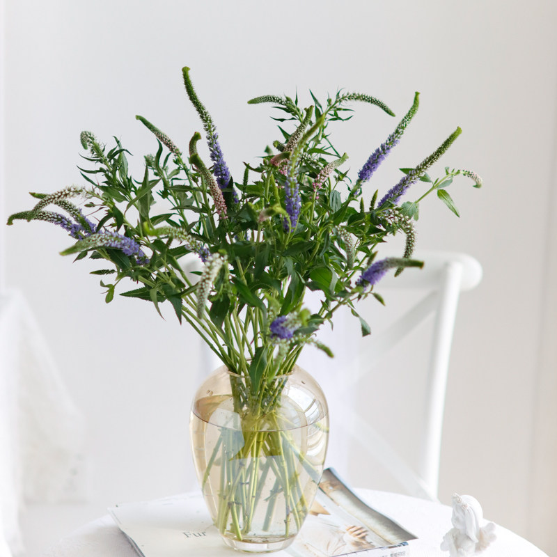 鼠尾鲜花家用水养瓶插花紫色粉色白色鲜切花云南基地直发观赏花束,鲜花速递/花卉仿真/绿植园艺,花材,淘宝优惠券,粉丝福利购,淘宝优惠卷