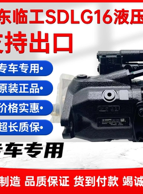 山东临工SDLG16微小挖液压泵主泵柱塞泵猪仔泵大泵 CASAPPA30.20D