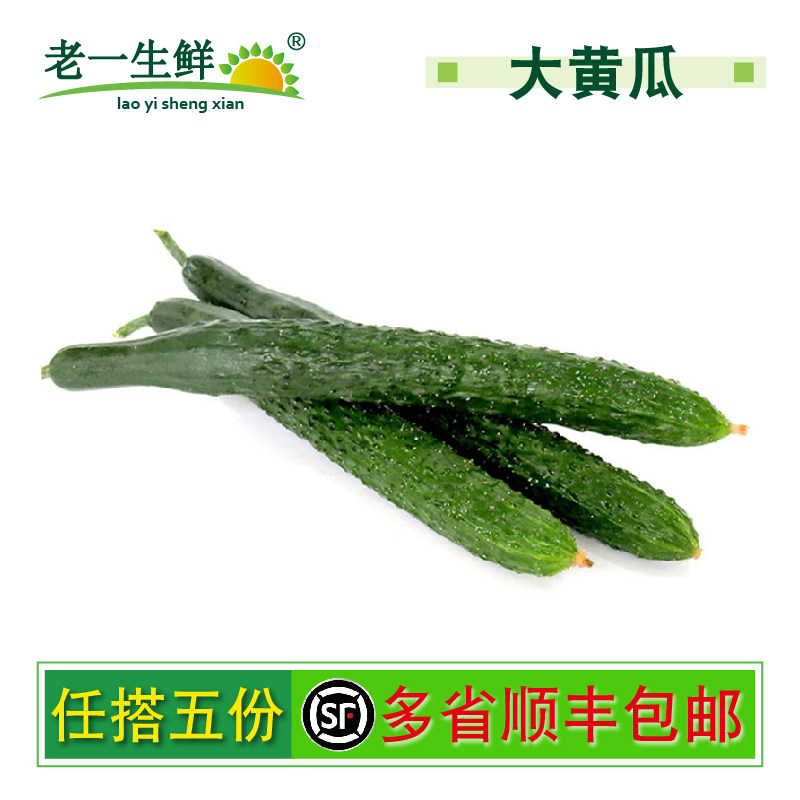 【老一生鲜】新鲜蔬菜新鲜黄瓜1000g 带刺干花大黄瓜