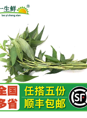 新鲜叻沙叶250g 拉沙叶laksa leaf 东南亚香料叻沙面云南香柳香菜