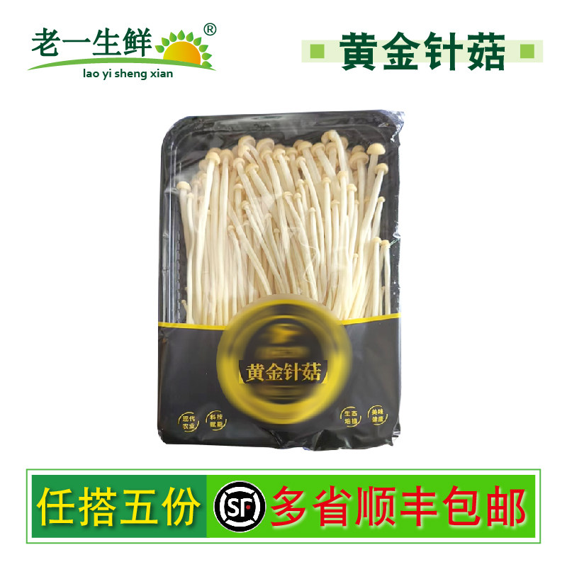新鲜黄金针菇200克食用菌菇凉拌涮火锅食材嫩菌菇蘑菇金针菇