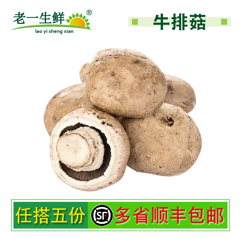 【老一生鲜】新鲜牛排菇500g 褐菇波多黎各菌大牛排菇