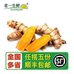 【老一生鲜】新鲜泰国黄姜新鲜黄姜冬阴功汤调料姜黄咖喱姜月子姜