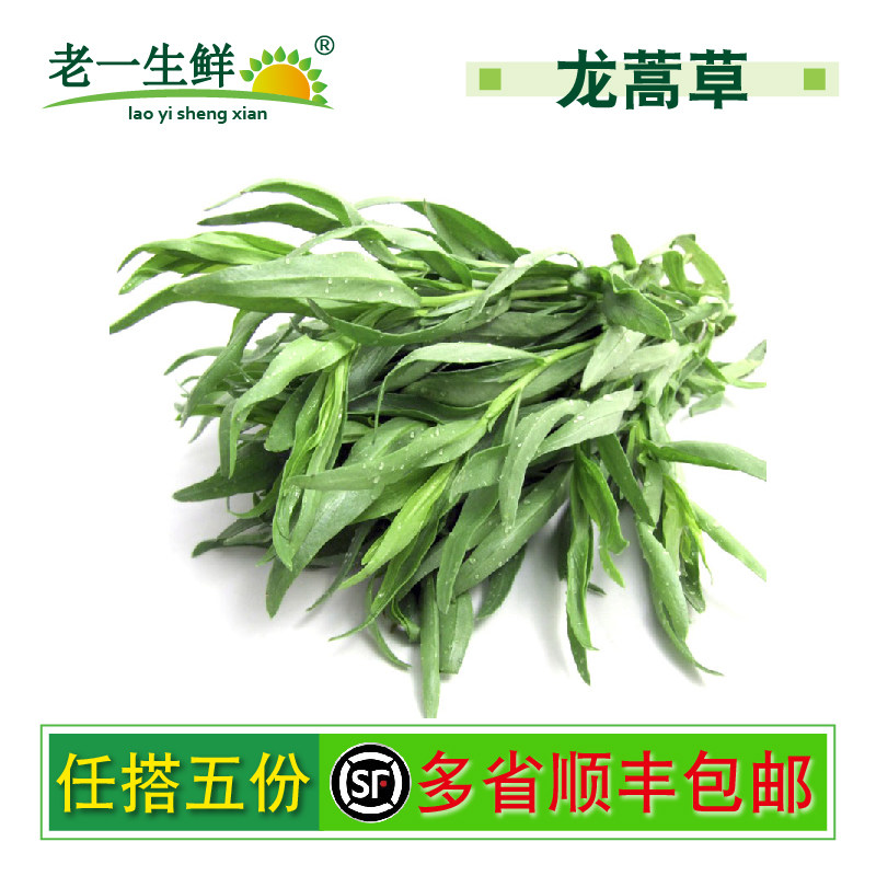 【老一生鲜】 新鲜龙蒿草 香艾菊 香料龙高草他拉根香草龙篙草