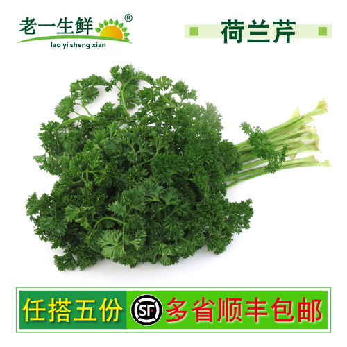 新鲜荷兰芹反西西餐蔬菜装饰