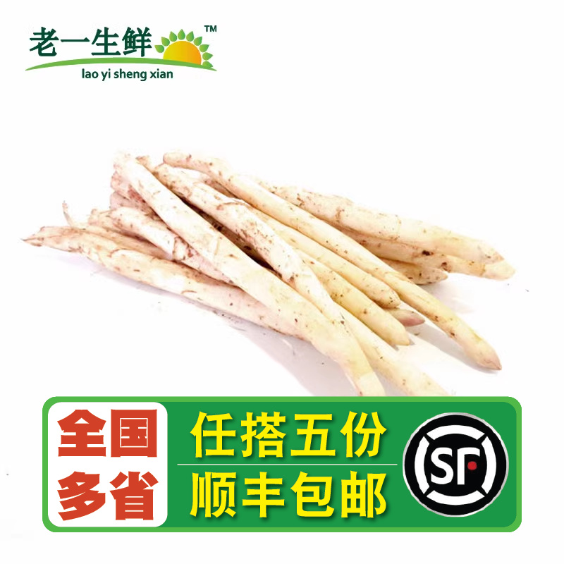 【老一生鲜】新鲜芦笋白芦笋新鲜 500g