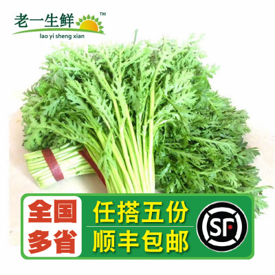 老一生鲜茼蒿蓬蒿菜500g新鲜蔬菜