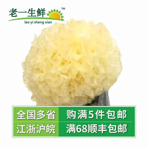 老一生鲜1朵200克新鲜蔬菜