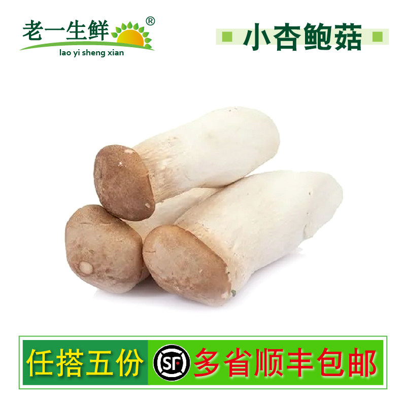 【老一生鲜】新鲜菌菇  新鲜小杏鲍菇   雪茸  500g