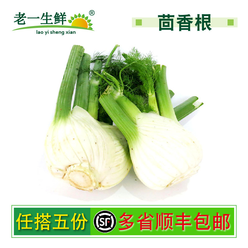 【老一生鲜】新鲜茴香头约500克茴香根西餐配菜 新鲜香料茴香菜