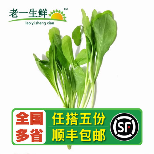 老一生鲜新鲜蔬菜马兰头500g