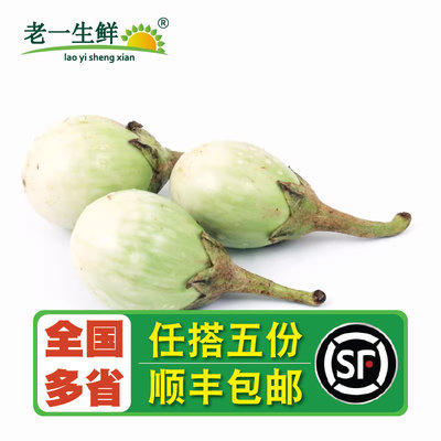 【老一生鲜】 新鲜 泰国小茄子 一口茄 小圆茄 茄子  500g