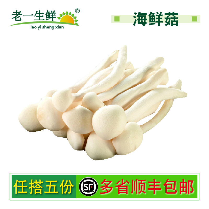 老一生鲜250g新鲜菌菇