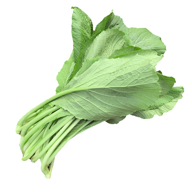 新鲜春菜蔬菜炒菜广东菜