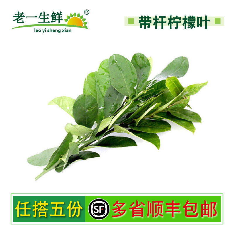 【老一生鲜】  新鲜柠檬叶 冬阴功  250g 有刺，易扎人 青柠叶