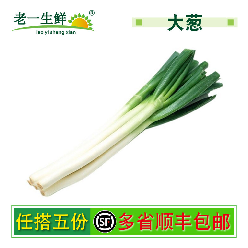 【老一生鲜】新鲜蔬菜 新鲜大葱山东大葱  1500g