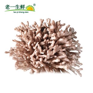 【老一生鲜】龙爪菌新鲜 龙爪菇 250g