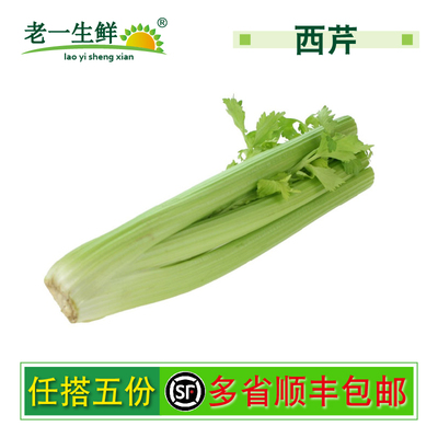 【老一生鲜】 新鲜蔬菜  新鲜西芹 约1000g
