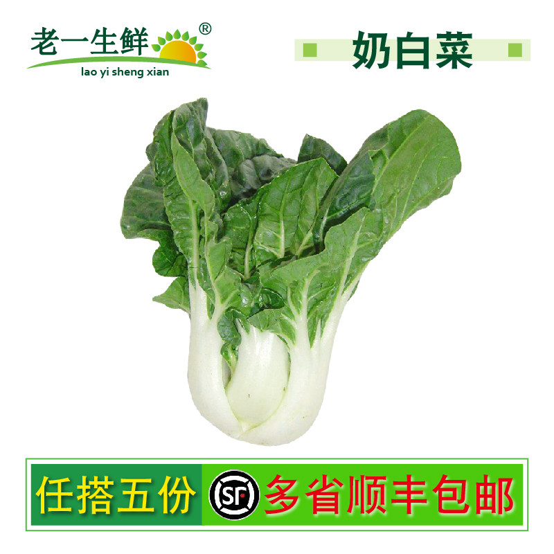 【老一生鲜】新鲜蔬菜奶油白菜