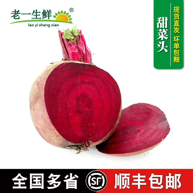 新鲜甜根菜甜菜头紫菜头多省顺丰包邮榨汁蔬菜