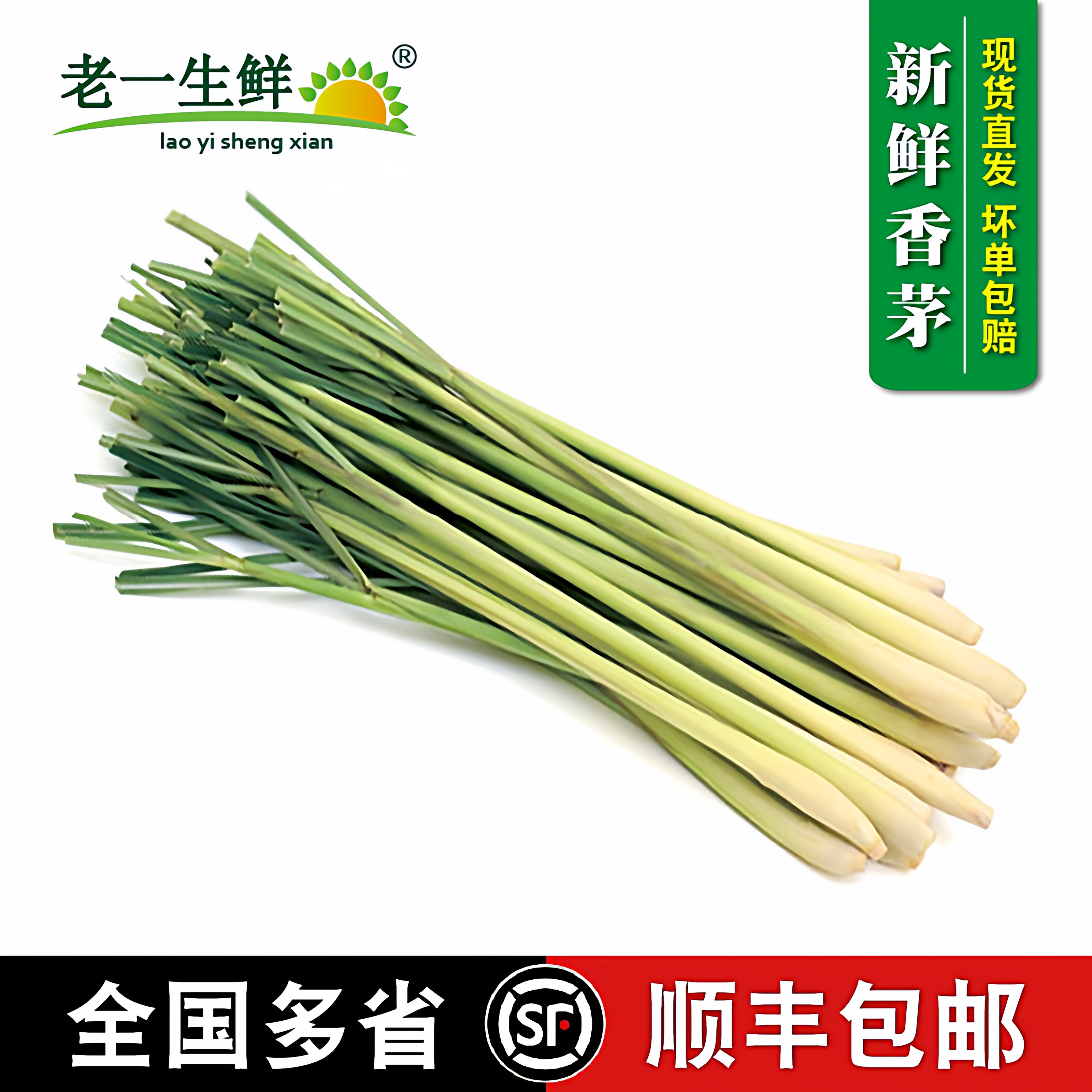 香茅草新鲜柠檬草叶食用香茅香料菜奶茶店用品调料泰式冬阴功原料
