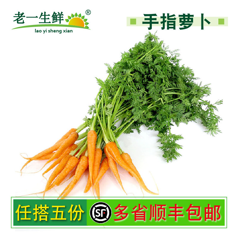 【老一生鲜】新鲜蔬果带叶小胡萝卜迷你手指胡萝卜西餐蔬菜500g