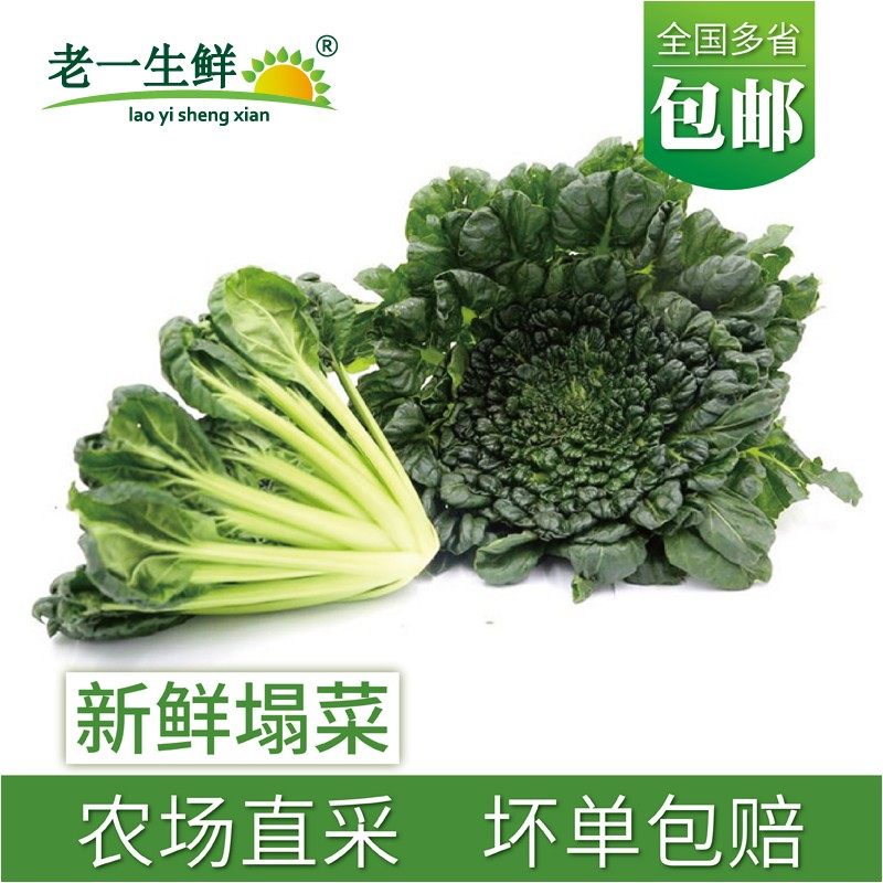 【老一生鲜】新鲜塌菜乌塌菜塔菜塌棵菜2斤起多省包邮塌地松黑菜,水产肉类/新鲜蔬果/熟食,其它,淘宝优惠券,粉丝福利购,淘宝优惠卷