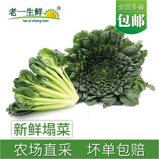 【老一生鲜】新鲜塌菜乌塌菜塔菜塌棵菜2斤起多省包邮塌地松黑菜