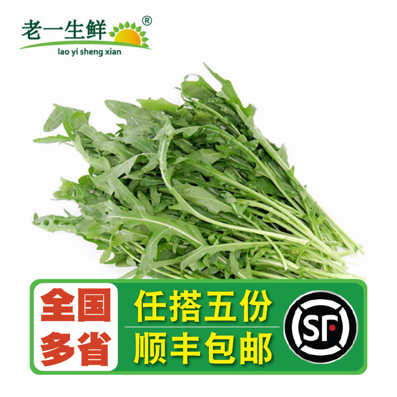 老一生鲜新鲜火箭菜250g沙拉菜