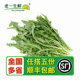 老一生鲜 生菜 新鲜 火箭菜 沙拉菜 芝麻菜 西餐蔬菜 250g