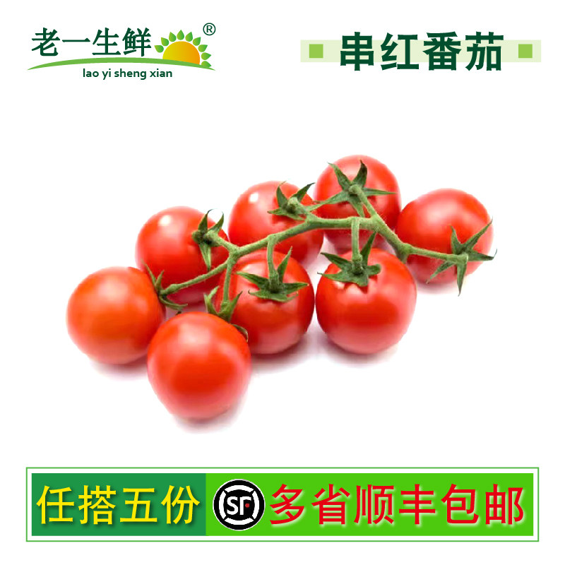 【老一生鲜】串红番茄 500g 新鲜串红西红柿 串红 品种为大的
