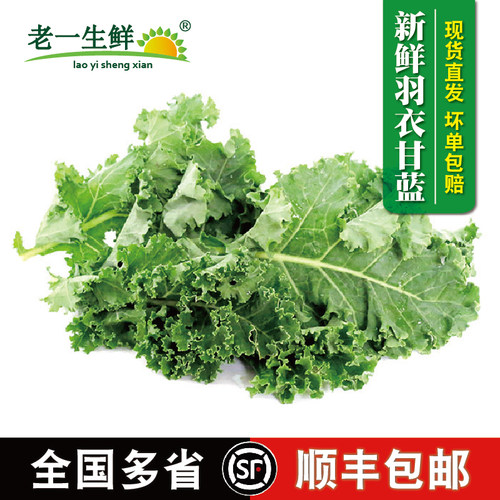 新鲜羽衣甘蓝蔬菜包邮