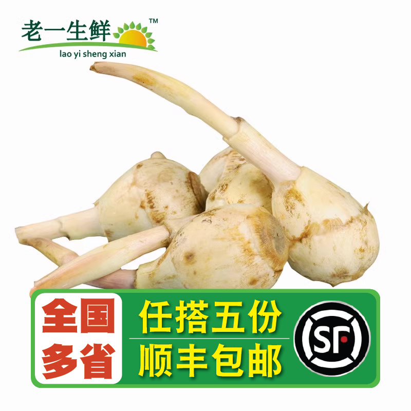 【老一生鲜】新鲜茨菇茨菰慈姑白马蹄 500g