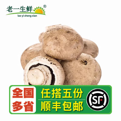 【老一生鲜】新鲜牛排500g褐大菇