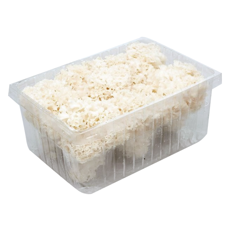 新鲜绣球菌火锅食材蘑菇菌菇