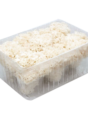 新鲜绣球菌火锅食材蘑菇菌菇
