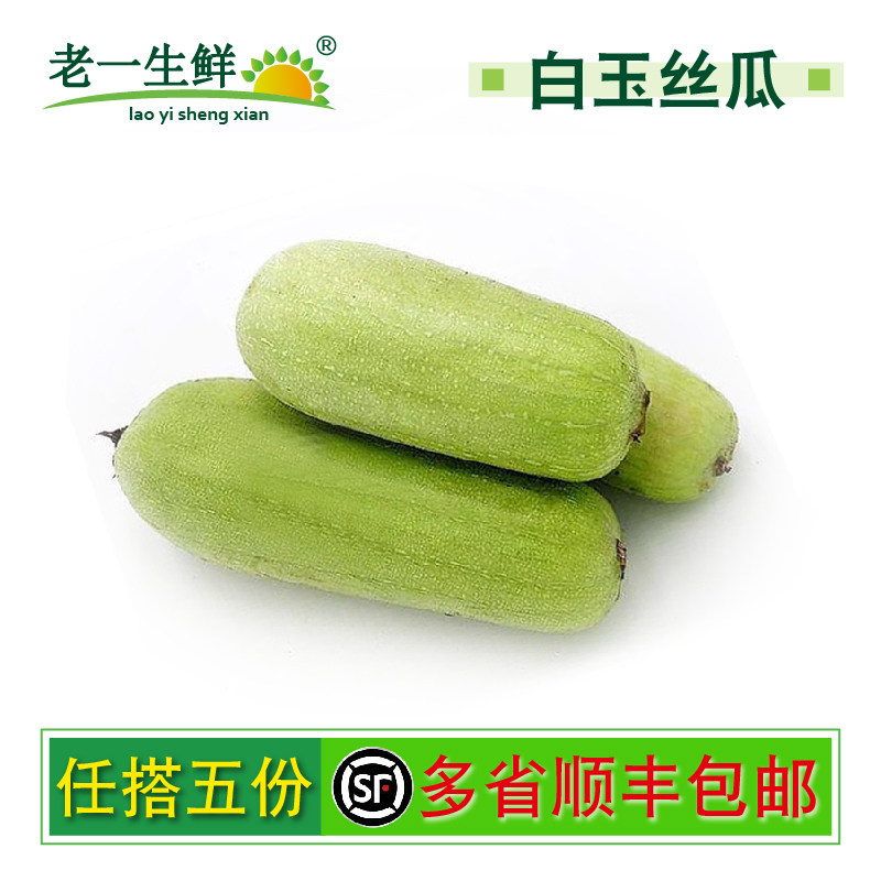 新鲜白玉丝瓜农家蔬菜短棒本地奶油肉湖南湘菜丝瓜