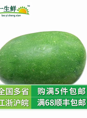 黑皮广东迷你650g新鲜蔬菜